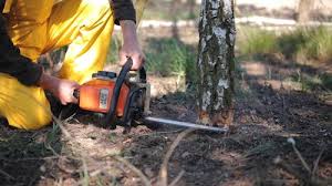 Best Aeration Services  in Dry Ridge, KY