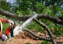 Best Soil Testing and Treatment  in Dry Ridge, KY