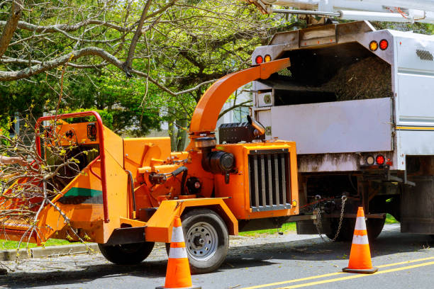 Best Tree Mulching  in Dry Ridge, KY