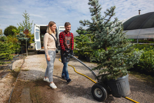 Best Lawn Irrigation Installation and Maintenance  in Dry Ridge, KY